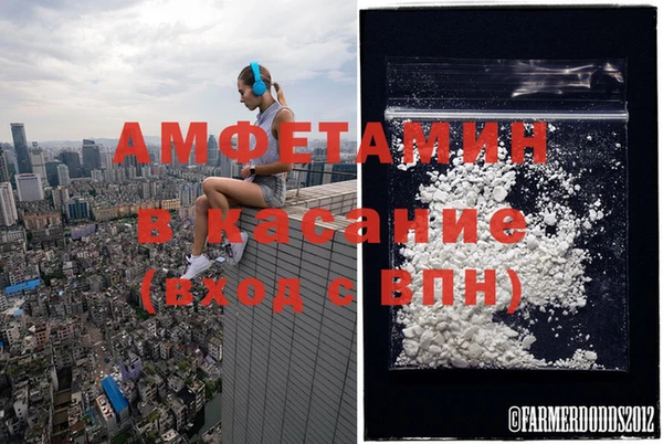 дмт Алзамай