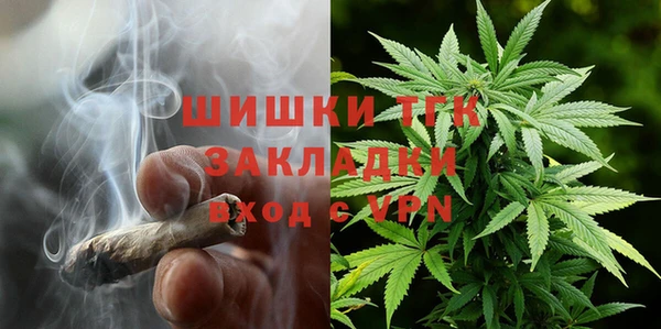 дмт Алзамай