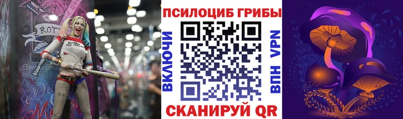 Галлюциногенные грибы Psilocybine cubensis гидра ссылки Таштагол
